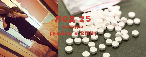 прущие грибы Абаза