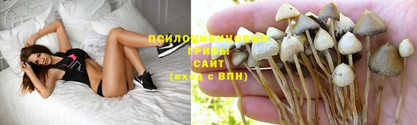 стафф Алексеевка