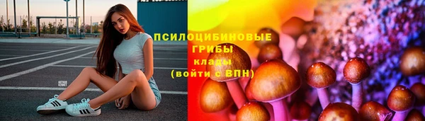 прущие грибы Абаза