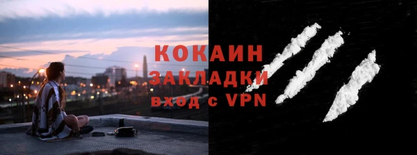 прущие грибы Абаза