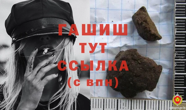 прущие грибы Абаза