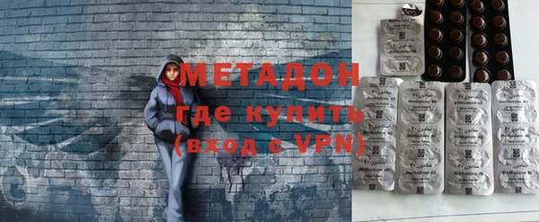 прущие грибы Абаза