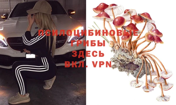 гидра Абдулино