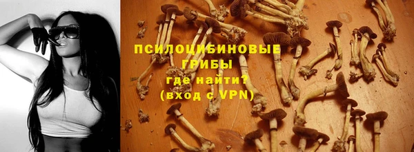 прущие грибы Абаза