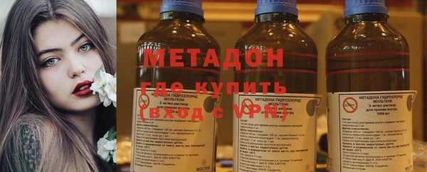 прущие грибы Абаза