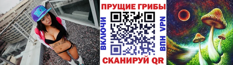 Псилоцибиновые грибы Psilocybe  Абаза 